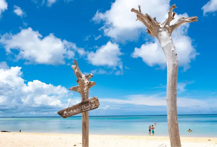 新城（あらぐすく）海岸
