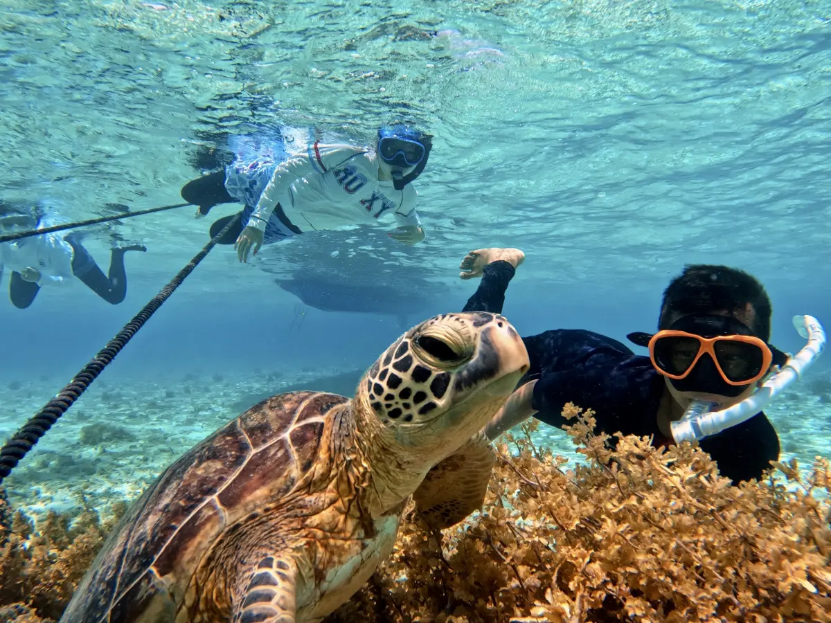 アクティビティ画像5